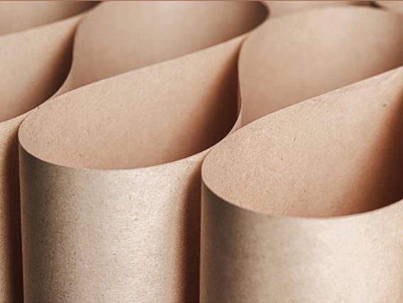 Picture Develop Paper Paper Industry | SMS Corporation Company Limited